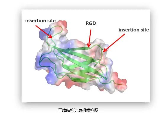 微信图片_20240704152949.jpg